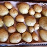 Gnocchi di patate con pancetta e basilico