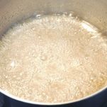 Granita all&#8217;albicocca