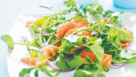 Insalata alla trota salmonata