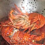 Insalata di aragosta del milionario