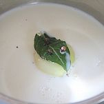 Lasagne al tartufo e funghi porcini