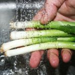 Minestra di cipollotti