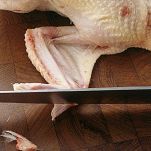 Pollo saltato con peperoncino e basilico