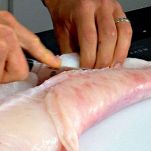 Rana pescatrice arrosto con aglio e finocchio