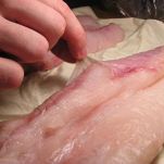 Rana pescatrice arrosto con aglio e finocchio