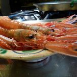 Scampi su petali di avocado