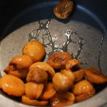 Sformato di albicocche