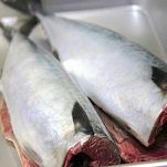 Sgombri con senape e burro al limone