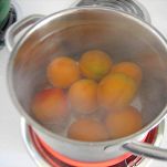 Sorbetto di albicocche