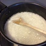 Sorbetto di albicocche