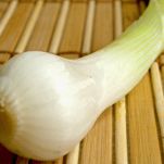 Spaghetti ai germogli di soia e scampi