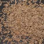 Stufato di pesce indiano