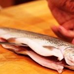 Trotelle in carpione