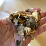 Cervo al forno con pomodori e porcini