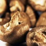 Funghi ripieni al formaggio