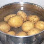 Insalata alla piemontese