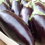 Involtini di melanzane e capperi