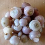 Lampascioni in olio e aceto