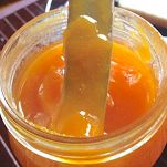 Marmellata di albicocche