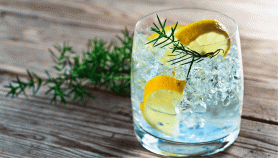 Cocktail Gin Fizz