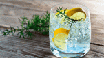 Cocktail Gin Fizz