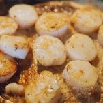 Sauté di capesante