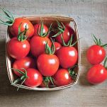 Spaghetti ai pomodorini