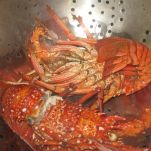 Antipasto di aragosta