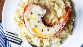 Antipasto di aragosta