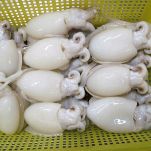 Asparagi e seppioline