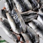 Bruschetta con le sarde al finocchietto