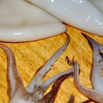 Calamaretti allo zafferano