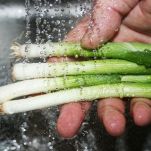 Crostini con melanzane
