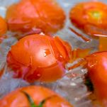 Crostoni con pomodorini