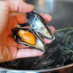 Friselle con frutti di mare