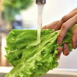 Lavaggio dell'insalata nel lavandino di casa