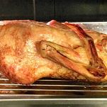 Oca arrosto