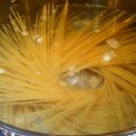 Pastasciutta alla crema