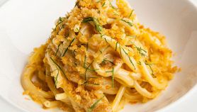 Pastasciutta alla crema di zucca con briciole di pane