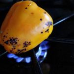 Peperoni con scamorza e acciuga