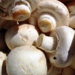 Pizza con gamberi e funghi