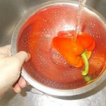 Sformatini di peperoni