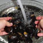 Pulizia delle cozze