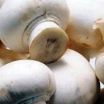 Spinaci al forno con funghi