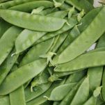 Taccole al formaggio