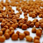 Toast di polenta con speck e fontina