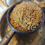 Torta di lenticchie e funghi