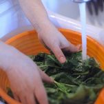 Tortelli alle erbe con salsa di noci