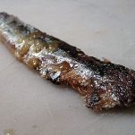 Tripoline alla siciliana