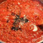 Fusilli con salsa di pomodori all&#8217;aceto balsamico